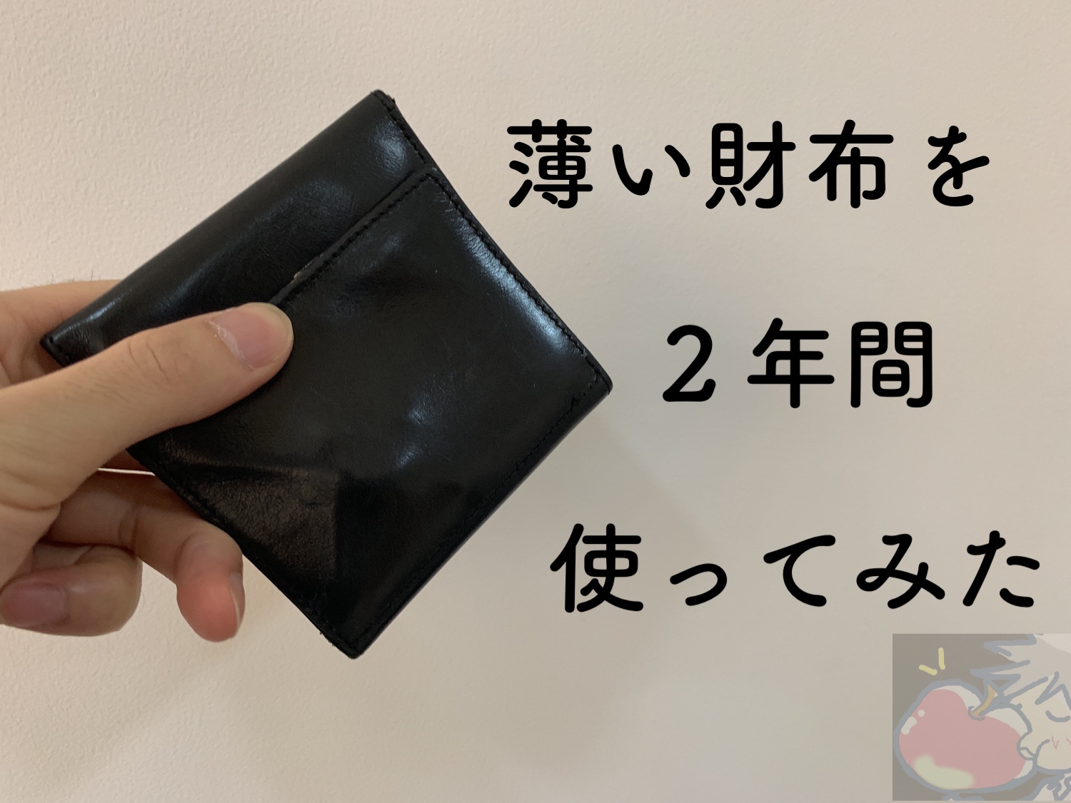 【レビュー】薄い財布を２年間使い続けて気付いた８つのこと