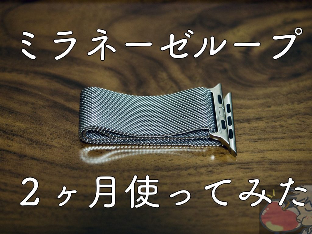 チタンのApple Watch6シリーズ＋純正ミラネーゼループグラファイト-
