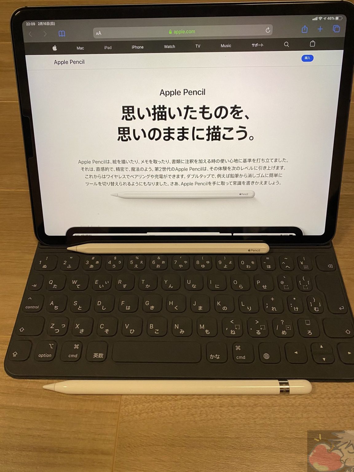 Apple Pencil (第2世代)のレビューを8名分集めてわかった59のこと | Apple信者1億人創出計画