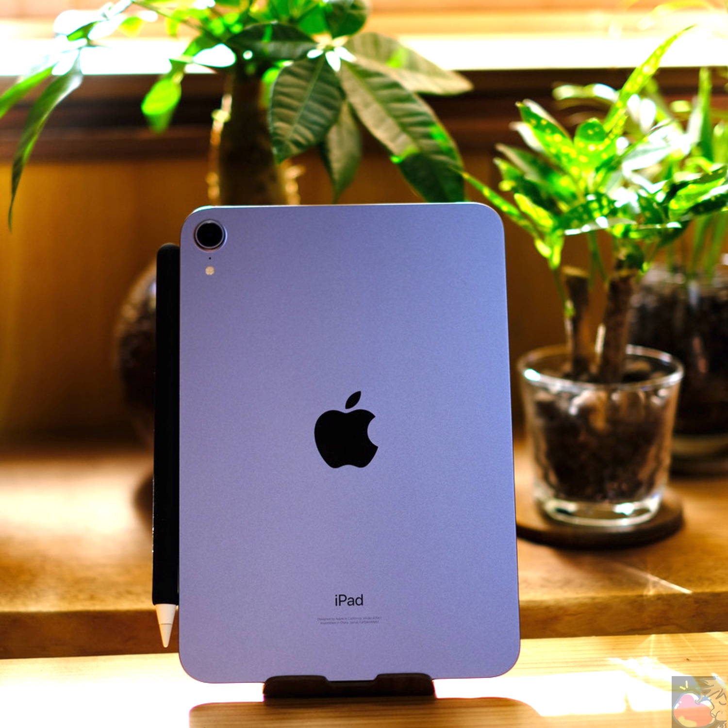 直営公式iPad mini6 パープル iPad本体